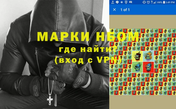 хмурый Алексин