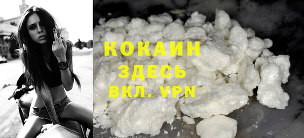 хмурый Алексин
