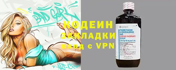 хмурый Алексин